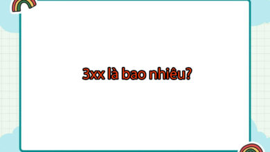 3xx là bao nhiêu tiền