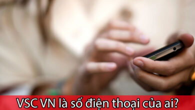 VSC VN là số điện thoại gì?