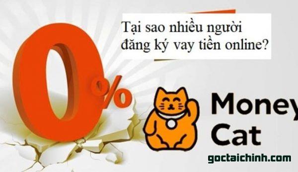 vay tiền money cat