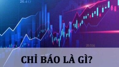 Chỉ báo là gì