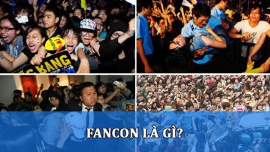 Fancon là gì