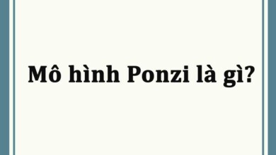 Mô hình ponzi là gì