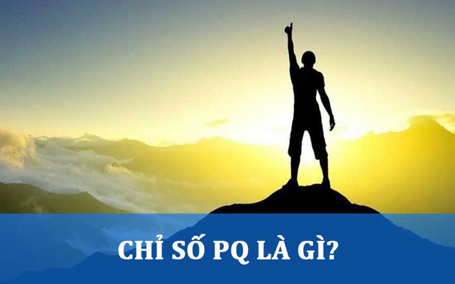 PQ là gì? Chỉ số đam mê có tính được không?