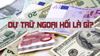 dự trữ ngoại hối là gì