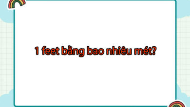 1 feet bằng bao nhiêu mét