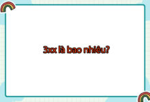 3xx là bao nhiêu tiền