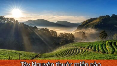 Tây nguyên thuộc miền nào