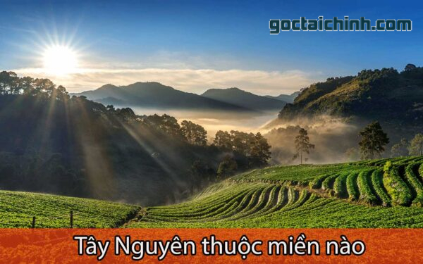 Tây nguyên thuộc miền nào
