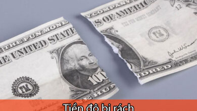 tiền đô bị rách