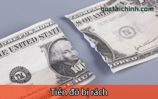 tiền đô bị rách