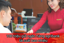 100 triệu gửi ngân hàng agribank lãi suất bao nhiêu