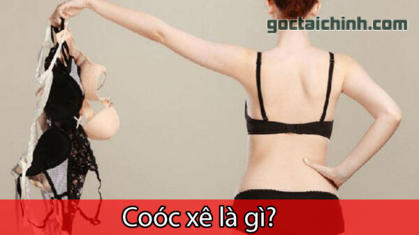 Coóc xê là gì