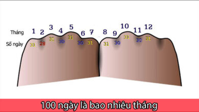 100 ngày là bao nhiêu tháng