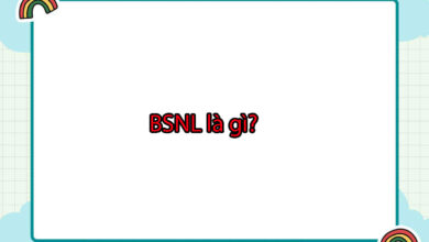BSNL là gì?