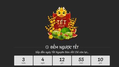 giới thiệu trang Đếm Ngược Tết Net